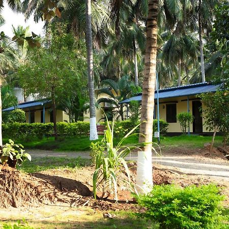 Pollāchi Royal Nature Resort المظهر الخارجي الصورة